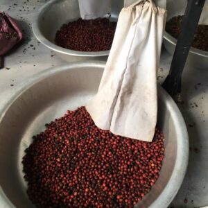 htxeatucafe-eatucoffee-caphedacsanvietnam-cacphehuuco-caphesachdaklak-175 htxeatucafe-eatucoffee-caphedacsanvietnam-cacphehuuco-caphesachdaklak-175