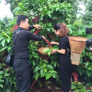 htxeatucafe-eatucoffee-caphedacsanvietnam-cacphehuuco-caphesachdaklak-184 htxeatucafe-eatucoffee-caphedacsanvietnam-cacphehuuco-caphesachdaklak-184
