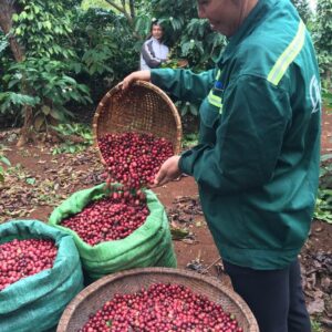 htxeatucafe-eatucoffee-caphedacsanvietnam-cacphehuuco-caphesachdaklak-201 htxeatucafe-eatucoffee-caphedacsanvietnam-cacphehuuco-caphesachdaklak-201