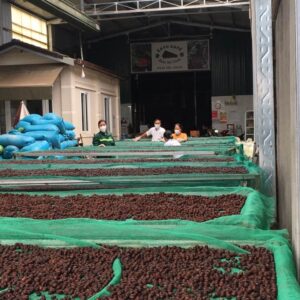 htxeatucafe-eatucoffee-caphedacsanvietnam-cacphehuuco-caphesachdaklak-214 htxeatucafe-eatucoffee-caphedacsanvietnam-cacphehuuco-caphesachdaklak-214
