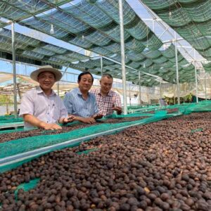 htxeatucafe-eatucoffee-caphedacsanvietnam-cacphehuuco-caphesachdaklak-273 htxeatucafe-eatucoffee-caphedacsanvietnam-cacphehuuco-caphesachdaklak-273