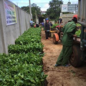 htxeatucafe-eatucoffee-caphedacsanvietnam-cacphehuuco-caphesachdaklak-43 htxeatucafe-eatucoffee-caphedacsanvietnam-cacphehuuco-caphesachdaklak-43
