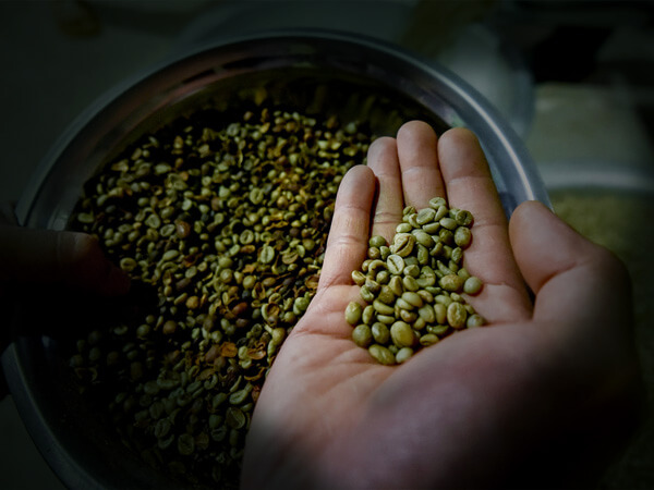 Giá cà phê hôm nay 6/5: Xuất khẩu tăng mạnh, trong nước giữ vững mốc 42.000 đồng/kg