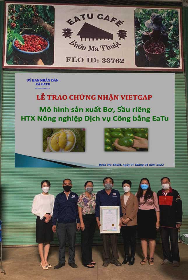 Eatu Café nhận chứng nhận VIETGAP cho cây ăn quả trồng xen canh trong vườn cà phê